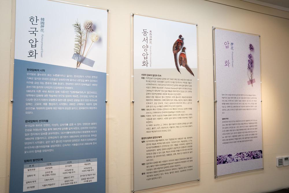 한국압화박물관11